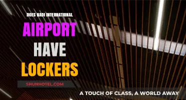 Nadi International Airport Lockers: Availability, Cost, and Usage Guide