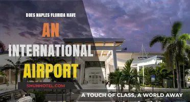 Exploring Naples, Florida: Is There an International Airport Nearby?