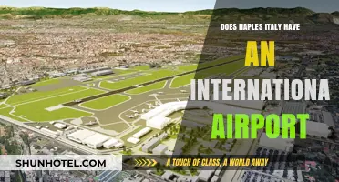 Exploring Naples: Does Italy's Southern Gem Have an International Airport?