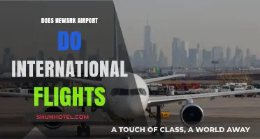 Newark Airport's International Flight Services: Destinations and Details