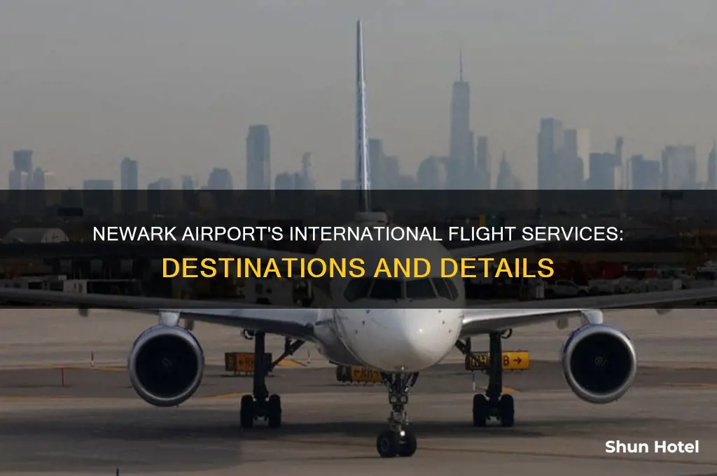 does newark airport do international flights