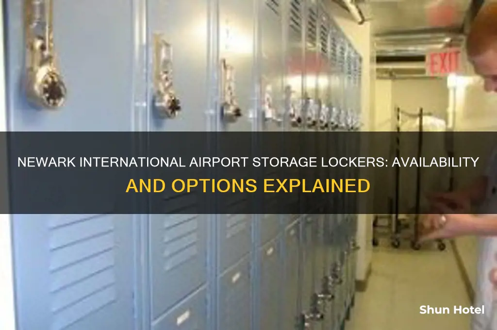 does newark international airport have storage lockers
