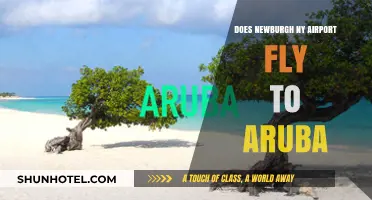 Newburgh NY Airport to Aruba: Possible Flight Routes Explored