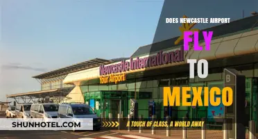 Newcastle Airport to Mexico: Exploring Flight Options and Travel Routes