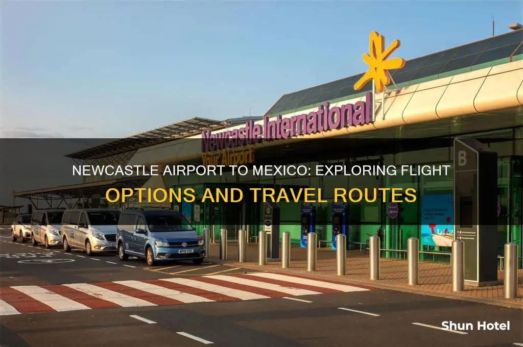 does newcastle airport fly to mexico