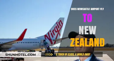 Newcastle Airport to New Zealand: Possible Flight Routes Explored