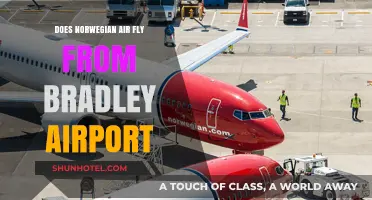 Norwegian Air at Bradley Airport: Routes, Schedules, and Travel Tips