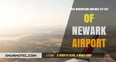 Norwegian Airlines Newark Flights: Routes, Schedules, and Travel Tips