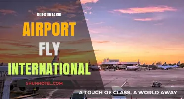 Does Ontario Airport Offer International Flights? A Comprehensive Guide