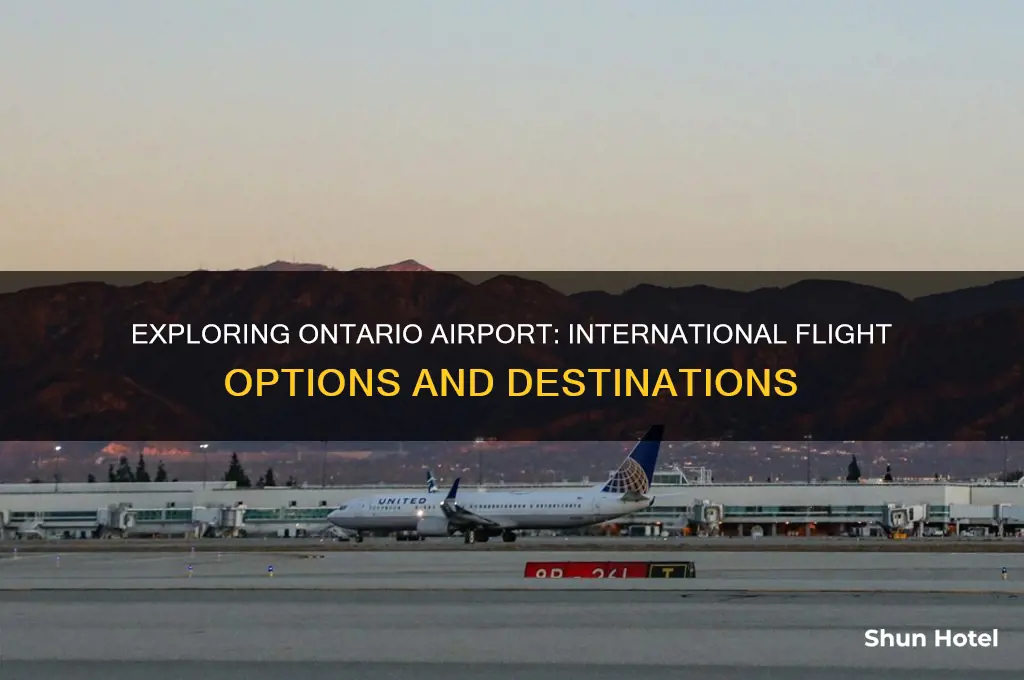 does ontario airport have international flights