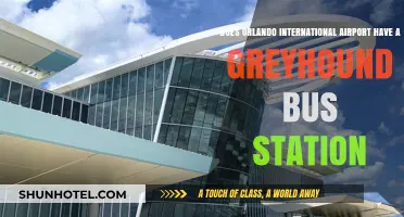 Orlando International Airport Greyhound Bus Station: What You Need to Know
