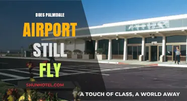 Is Palmdale Airport Operational? Current Flight Status and Updates