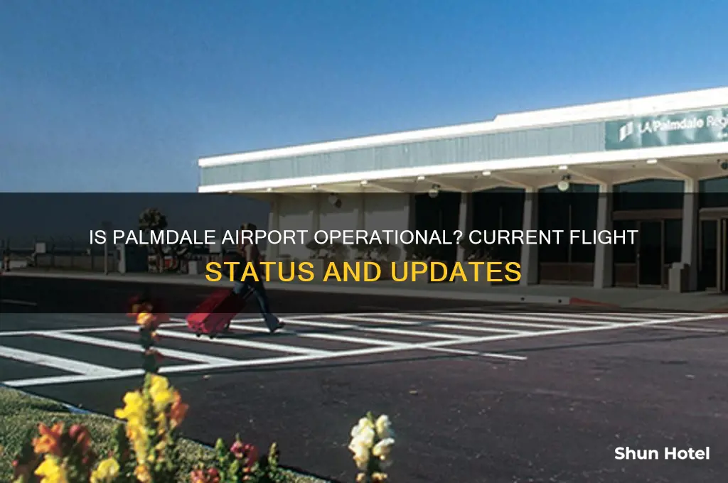 does palmdale airport still fly