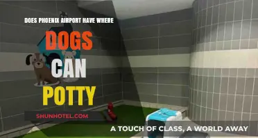 Phoenix Sky Harbor Airport: Pet Relief Areas
