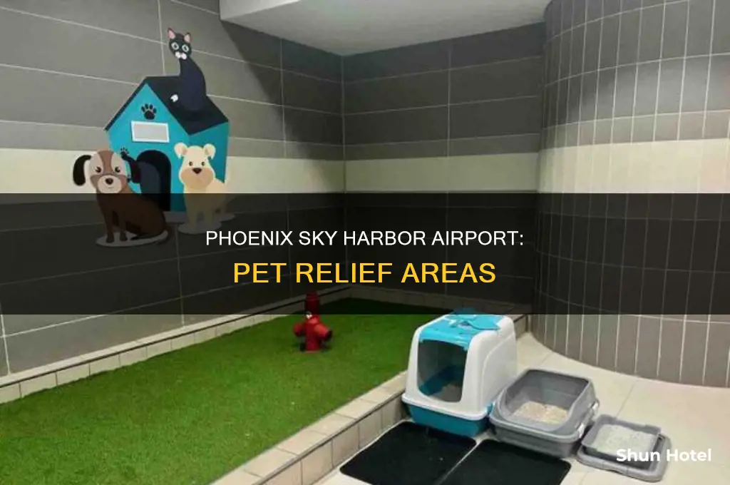 does phoenix airport have where dogs can potty