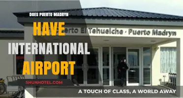 Puerto Madryn's Airport: International Flights or Domestic Only?
