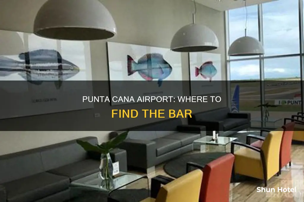 does punta cana airport have a bar
