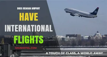 Does Reagan Airport Offer International Flights? A Comprehensive Guide