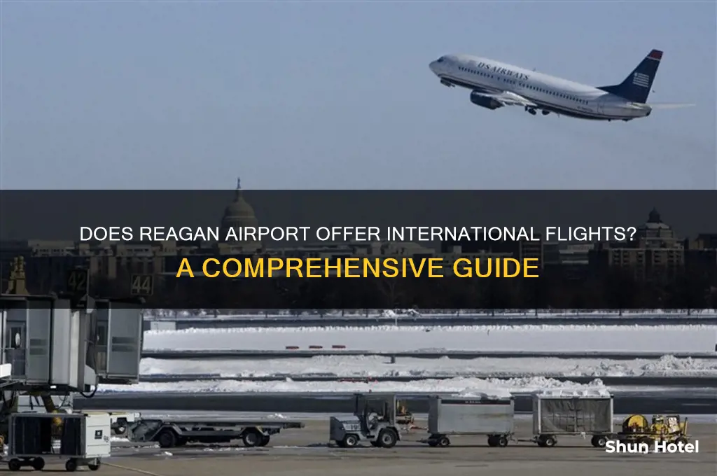 does reagan airport have international flights