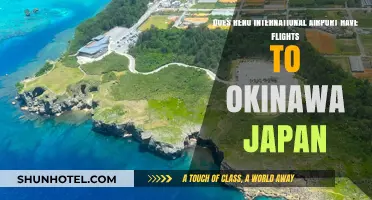 Reno International Airport to Okinawa, Japan: Flight Options Explored