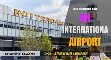 Rotterdam's Air Travel Hub: Is There an International Airport?