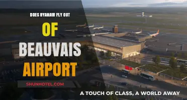 Ryanair at Beauvais Airport: Your Guide to Flights and Services