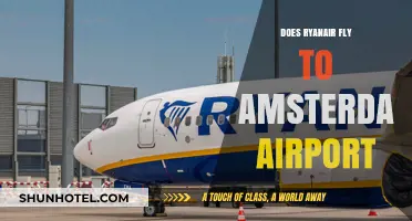 Ryanair Flights to Amsterdam: Routes, Schedules, and Travel Tips