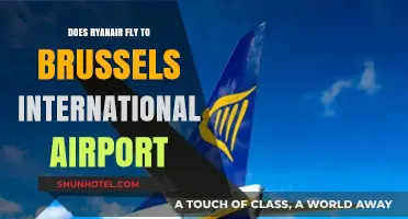 Ryanair Flights to Brussels International Airport: Routes and Availability