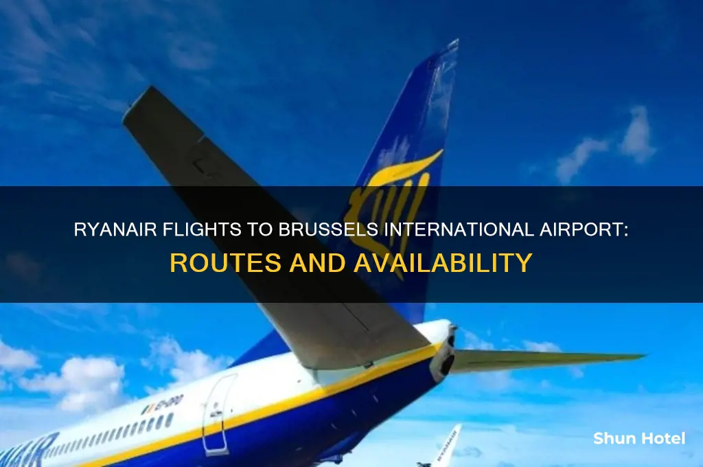 does ryanair fly to brussels international airport