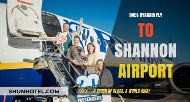 Ryanair Shannon Airport Flights: Routes, Schedules, and Travel Tips