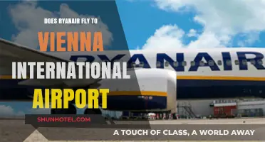 Ryanair Flights to Vienna International Airport: Routes and Availability