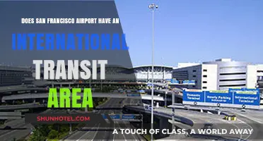 San Francisco Airport's International Transit Area: What Travelers Need to Know