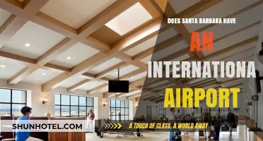 Santa Barbara Airport: International Flights or Domestic Only?