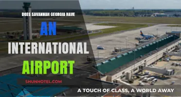 Savannah Georgia's Airport: International Hub or Regional Gateway?