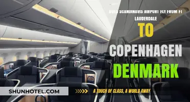 Scandinavian Airlines Flights from Ft Lauderdale to Copenhagen: What to Know
