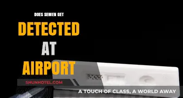 Can Airports Detect Semen? Unveiling Security Screening Truths and Myths