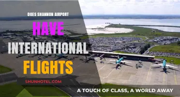 Shannon Airport's International Flights: Destinations, Airlines, and Travel Options