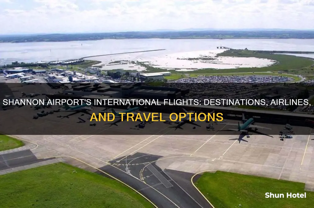 does shannon airport have international flights