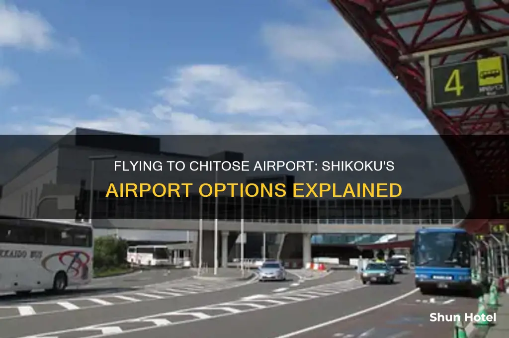does shikoku have a airport to fly into chitose airport