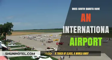 Exploring South Dakota's Air Travel: Is There an International Airport?