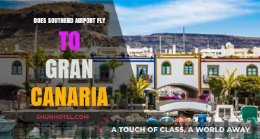 Southend Airport to Gran Canaria: Flight Options and Availability