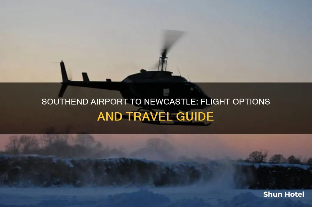 does southend airport fly to newcastle