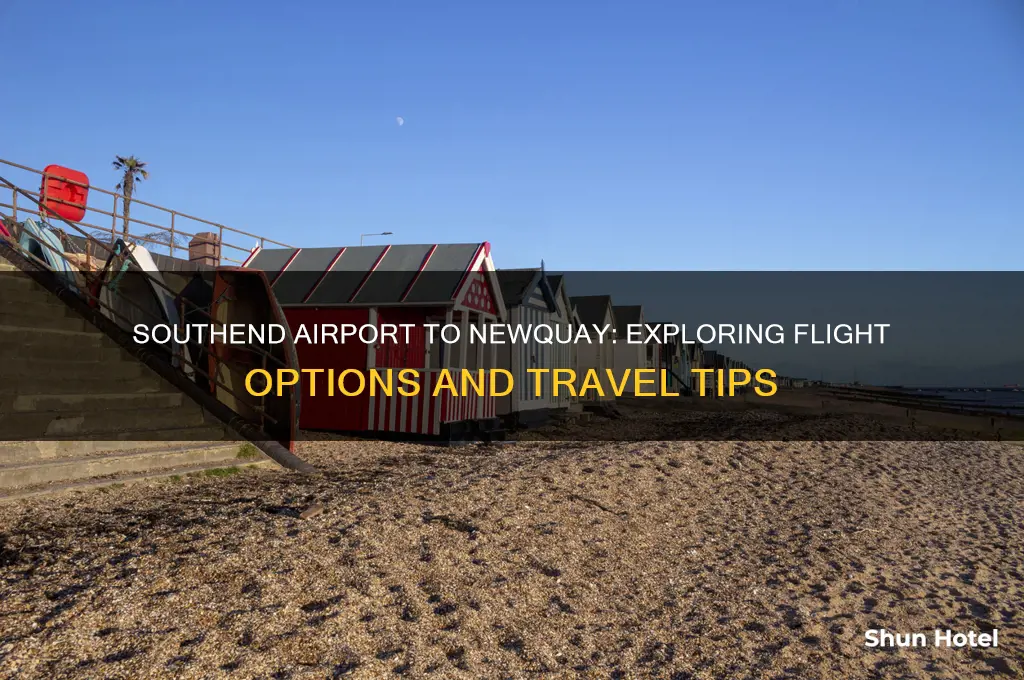 does southend airport fly to newquay
