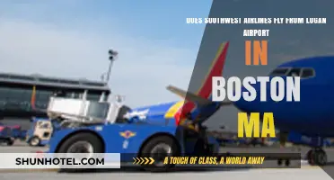 Does Southwest Airlines Operate Flights from Boston's Logan Airport?