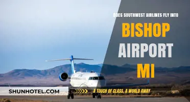 Does Southwest Airlines Service Bishop Airport in Michigan?
