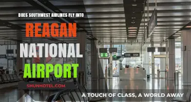 Southwest Airlines at Reagan National: Routes, Schedules, and Travel Tips