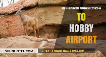 Southwest Airlines Tucson to Hobby Airport: Routes and Availability