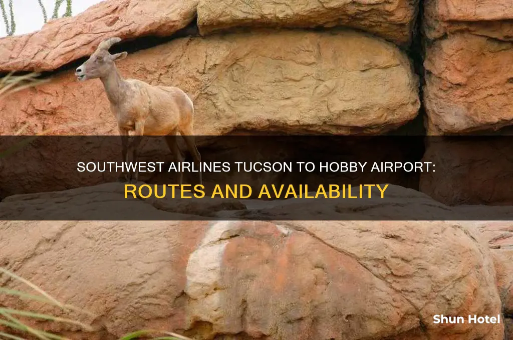 does southwest airlines fly tucson to hobby airport