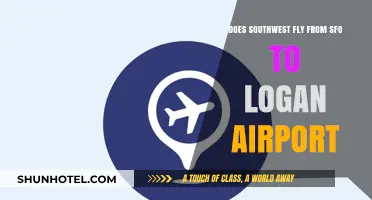 Southwest Airlines SFO to Logan: Routes, Schedules, and Travel Tips