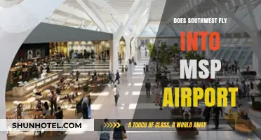 Does Southwest Airlines Service MSP Airport? Your Travel Guide